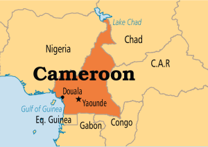 cameroon-bitcoinist