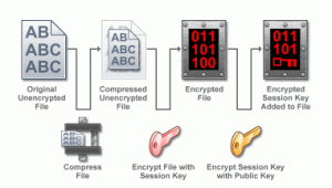 PGP Encryption