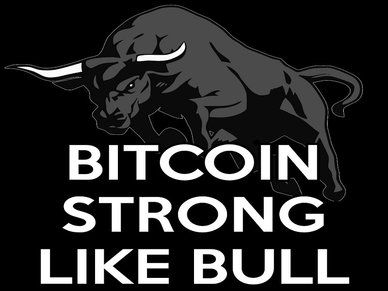 bitcoin bull