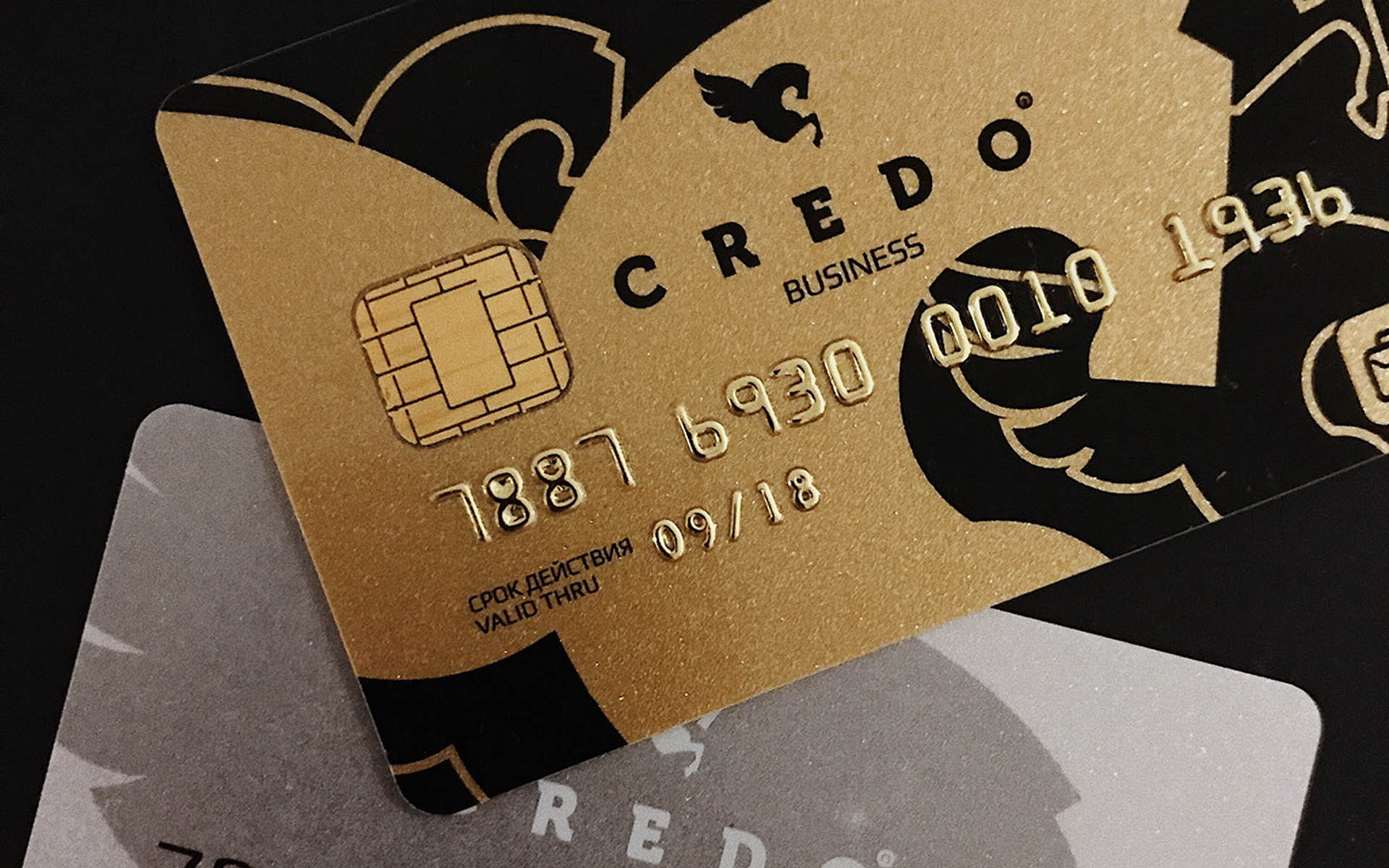 Can CREDO Take Its Place Alongside Visa and Mastercard?