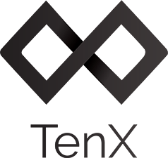 How TenX Works