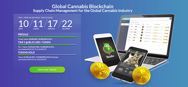 The Budbo Token Crowdsale and BUBO Tokens