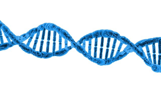 DNA data