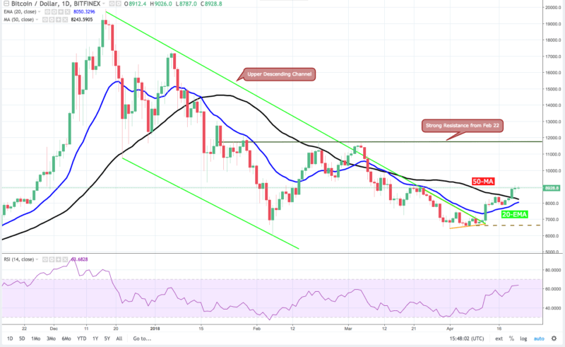 Bitcoin Daily Chart