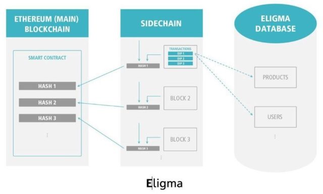 Eligma MVP