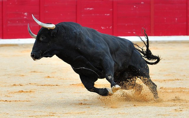 Bitcoin bull price run coming?