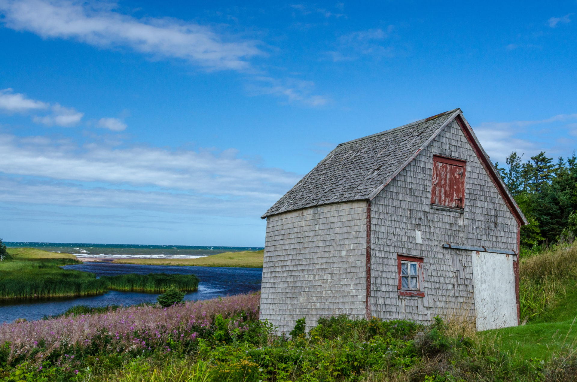 Canadian Ghost Town Gambles on Bitcoin for a New Chance at Life