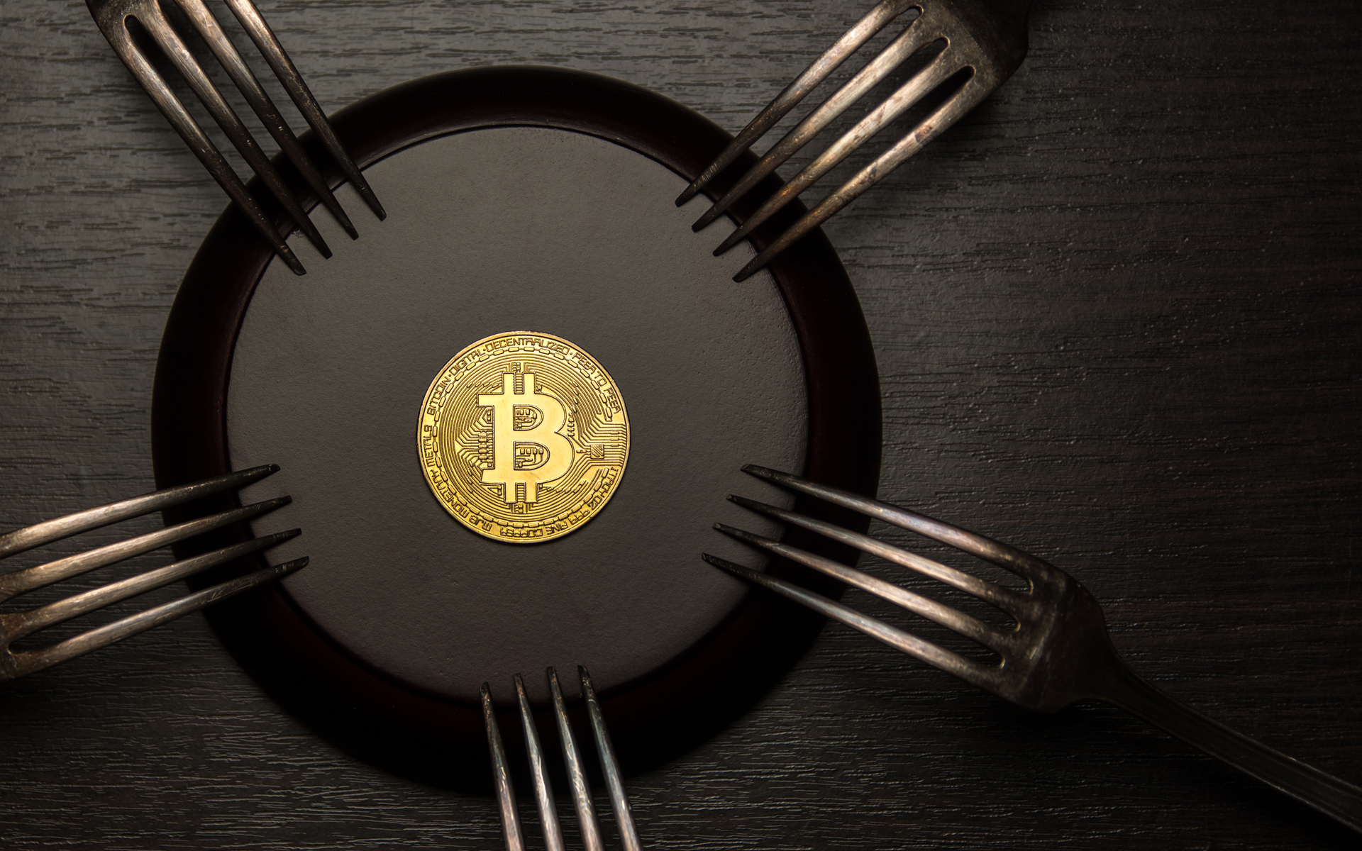 bitcoin forks