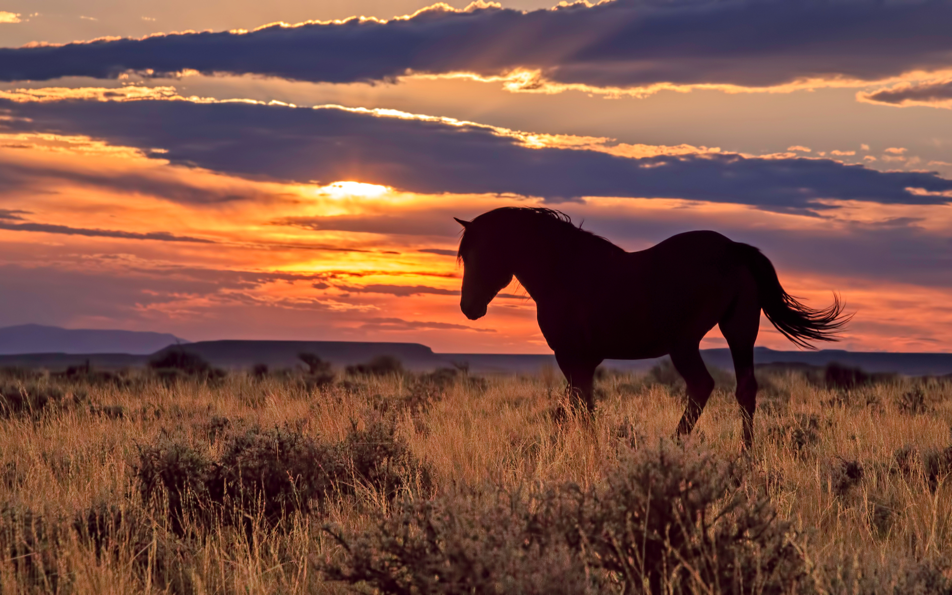 wyoming blockchain