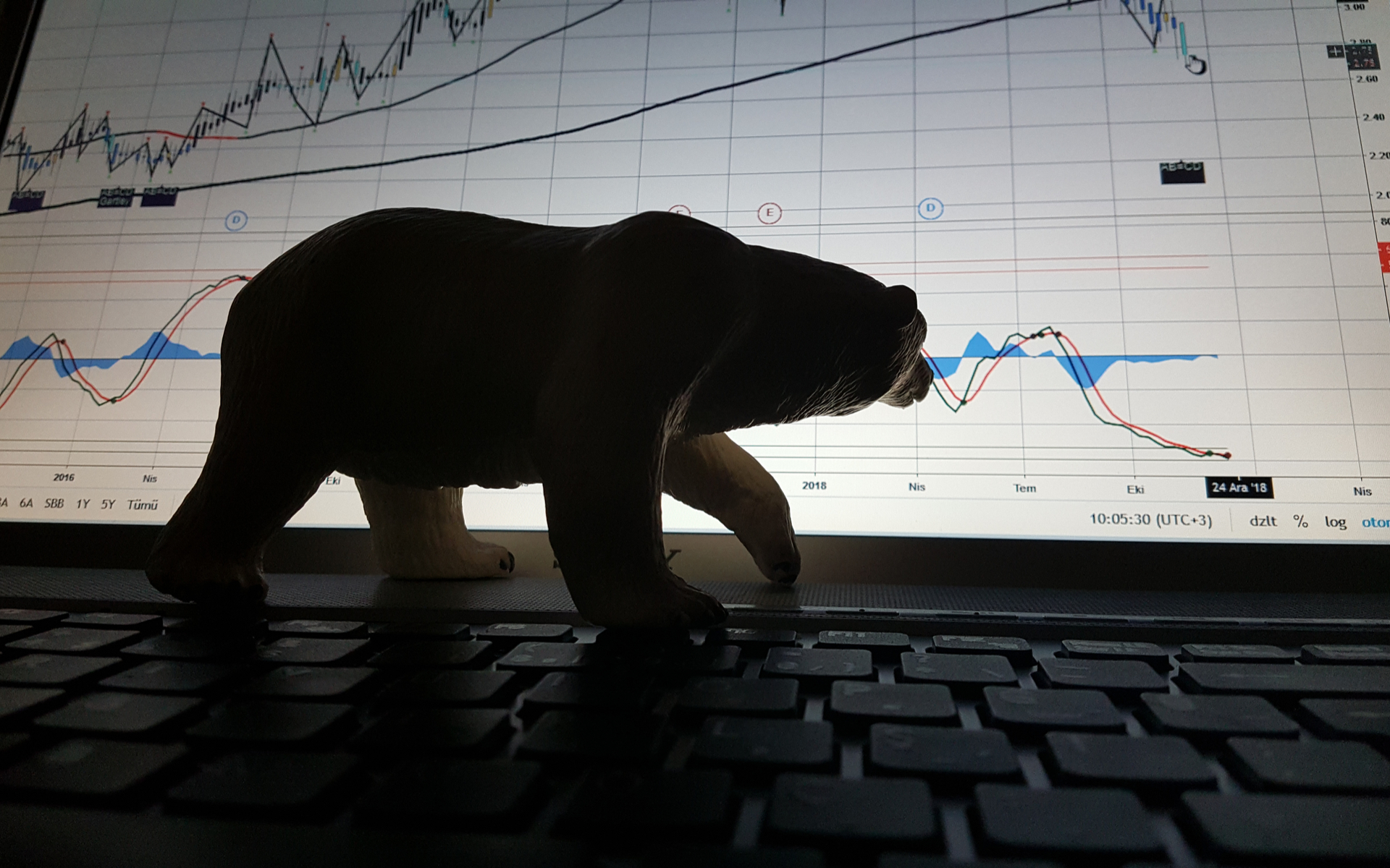 bitcoin price bear