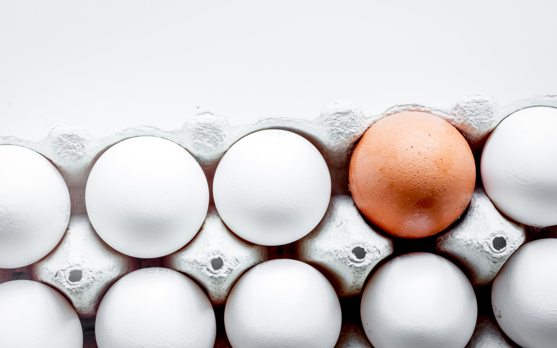 bitcoin altcoins diversify portfolio eggs