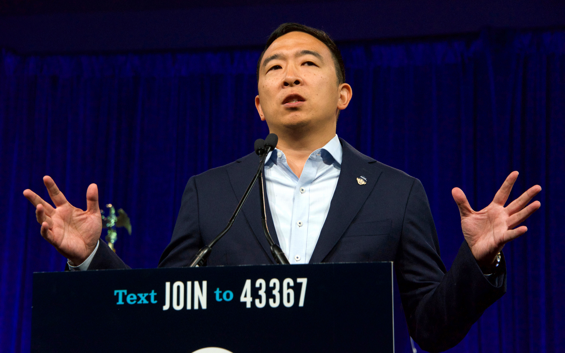 andrew yang UBI bitcoin