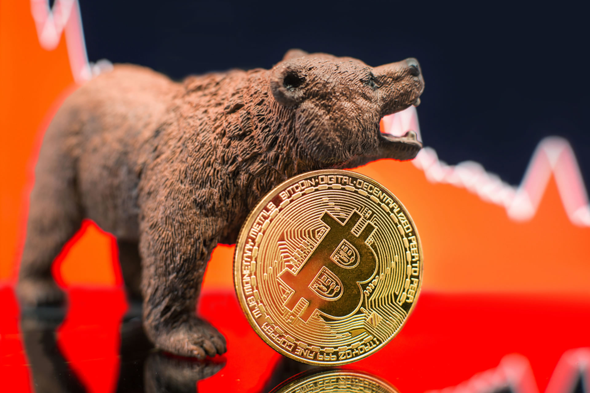 bitcoin bears