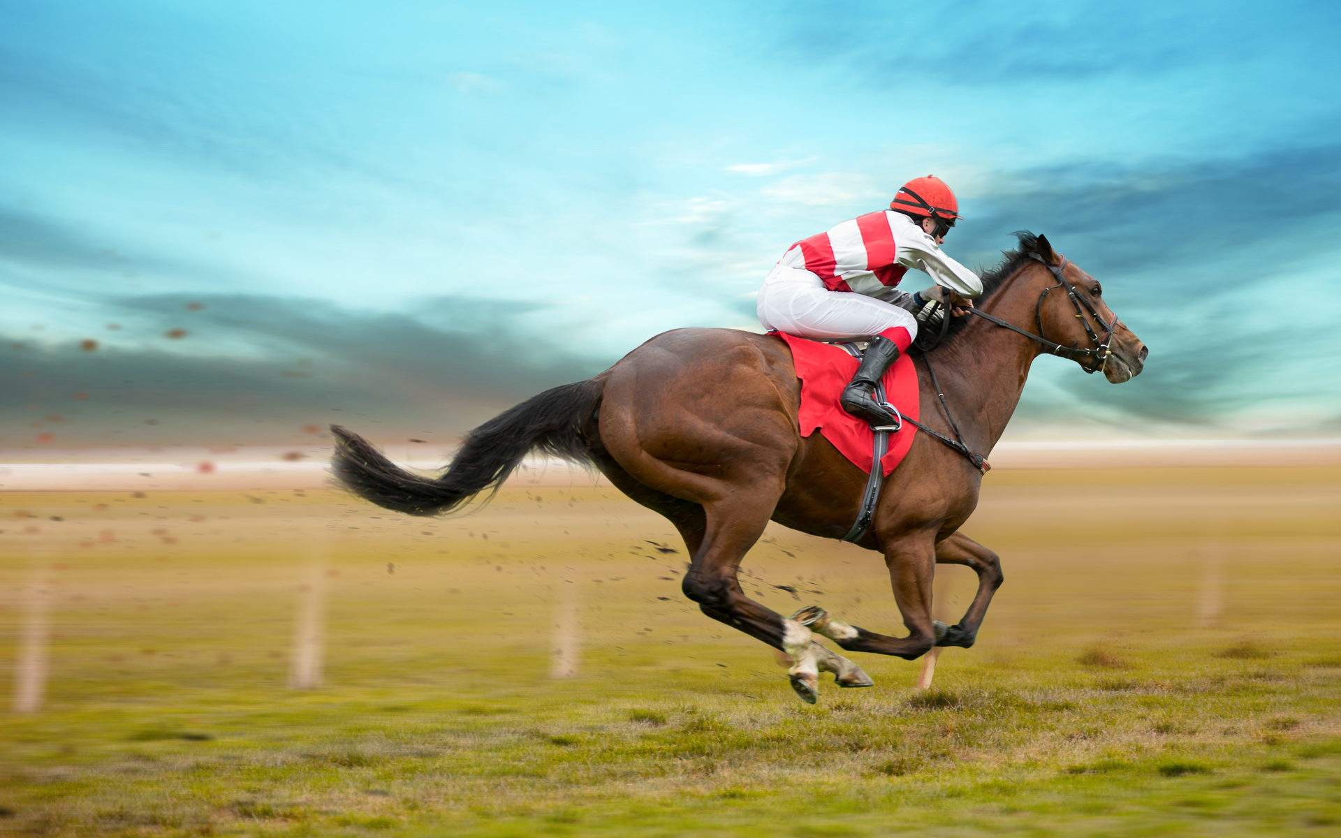 Bitcoin will outpace S&P 500 gains