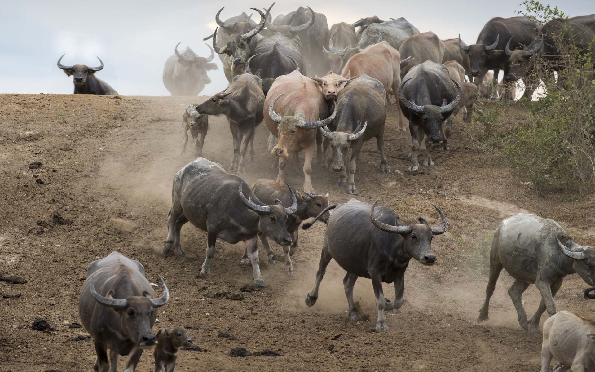 Bitcoin Bull Run to start on Thursday