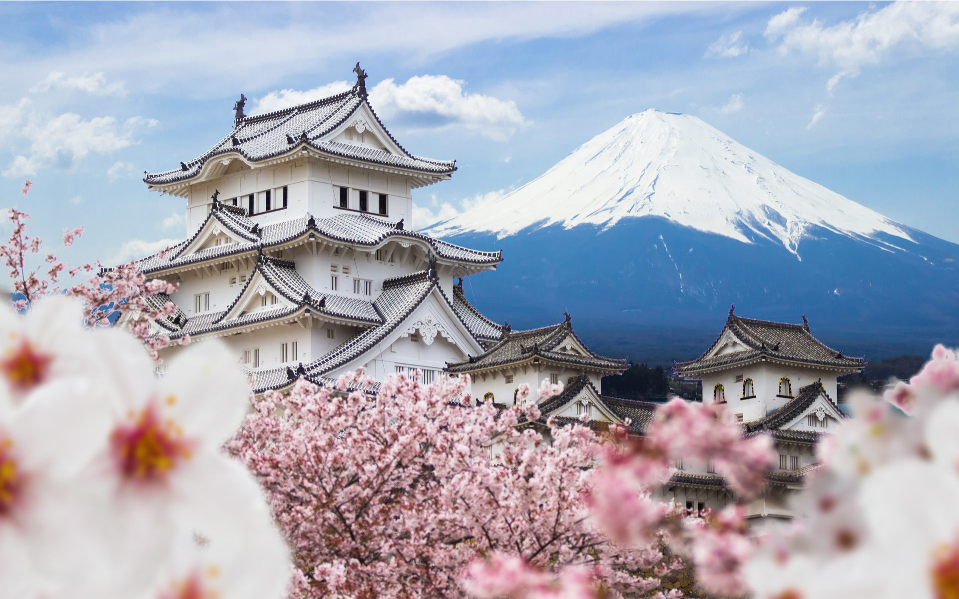 japan central bank crypto