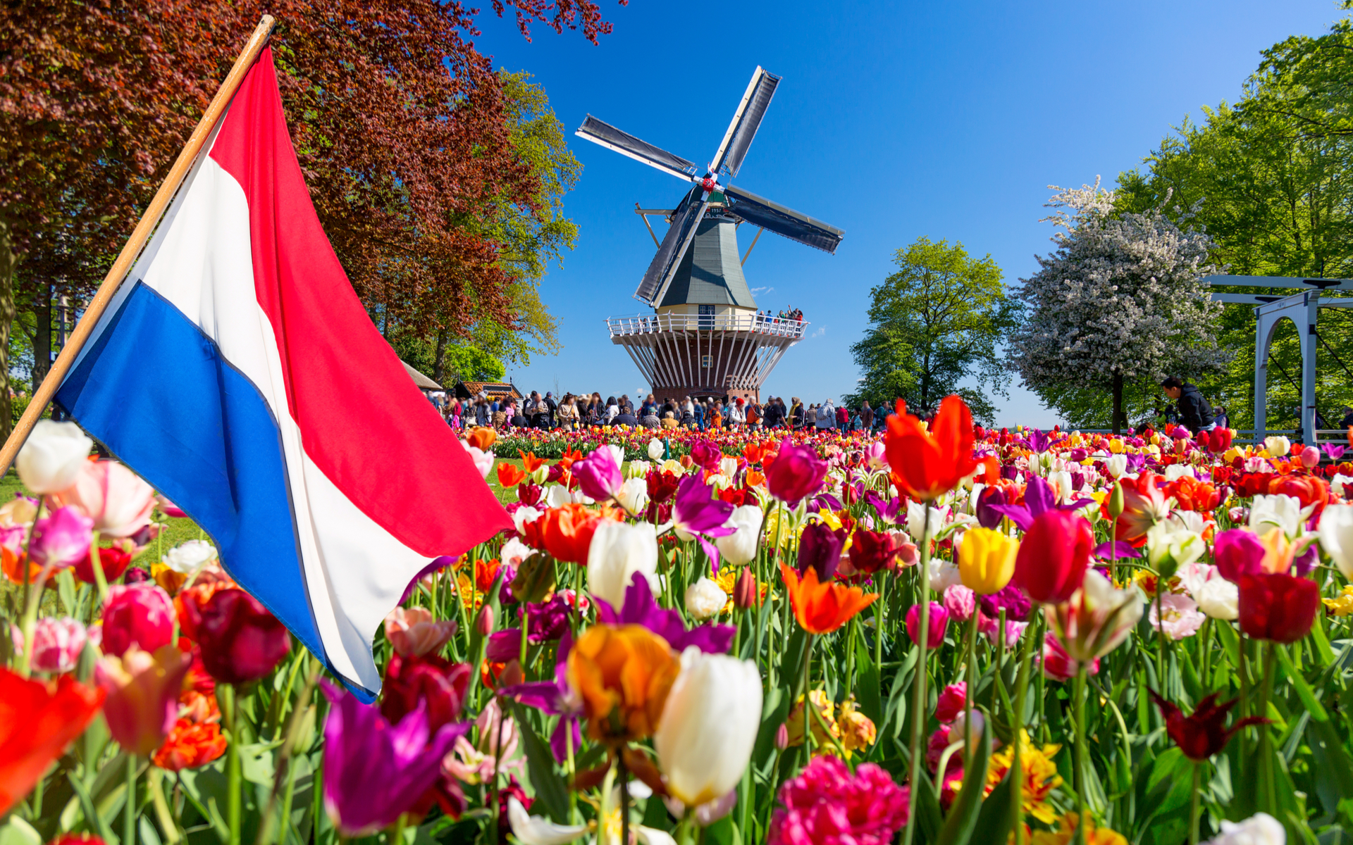 Netherlands Shares Bitcoin Mixer Probe Report With J5 Nations