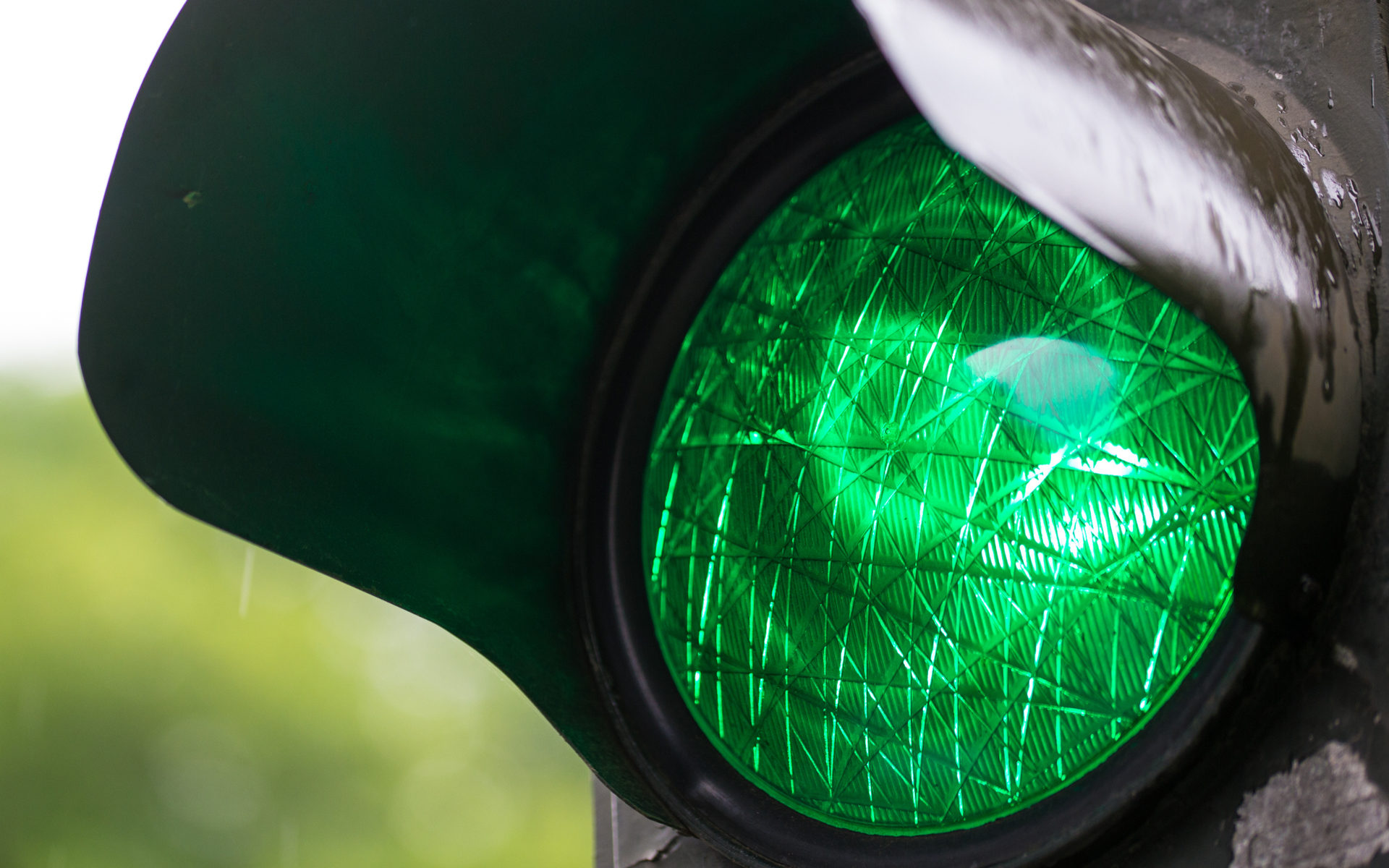 Crypto Market Flashes Green Again