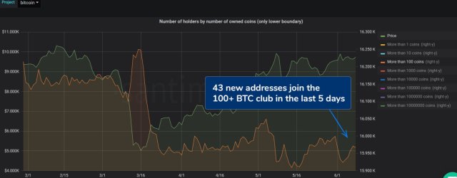 bitcoin, cryptocurrency, btcusd, bitcoin whales