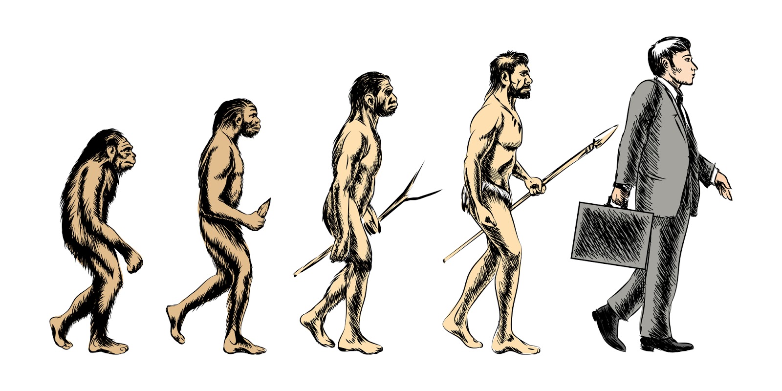 evolution to proof of stake