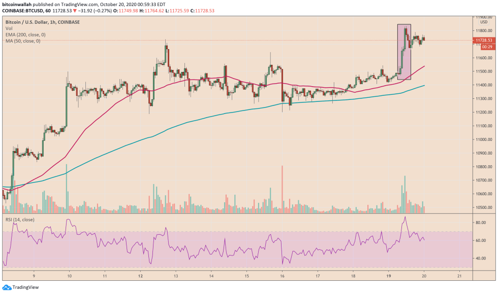 bitcoin, btcusd, btcusdt, xbtusd