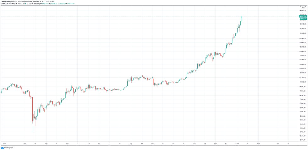 bitcoin google trends