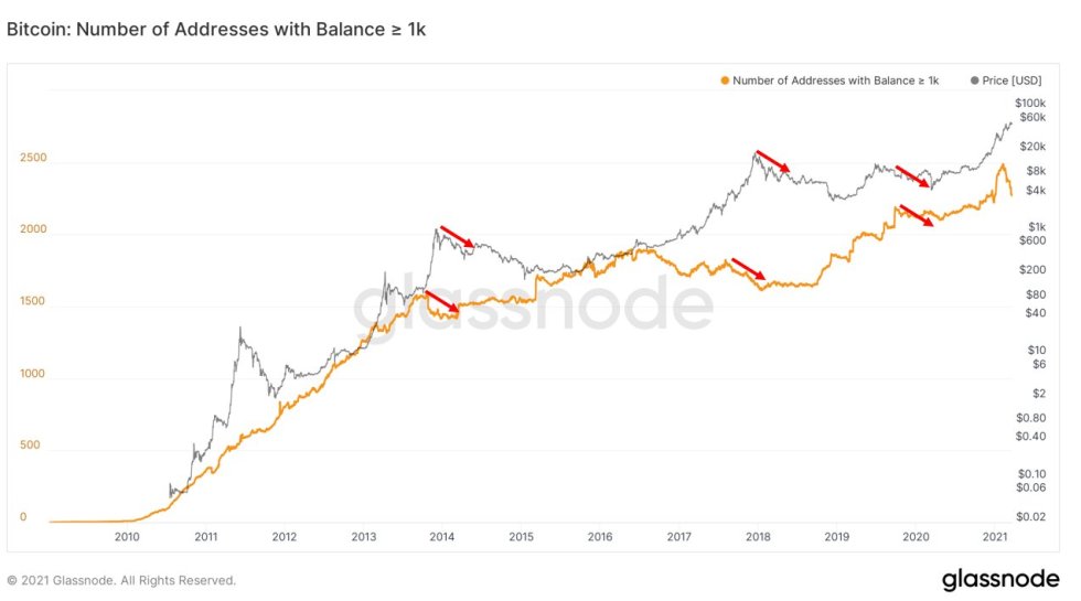 bitcoin bear market whales