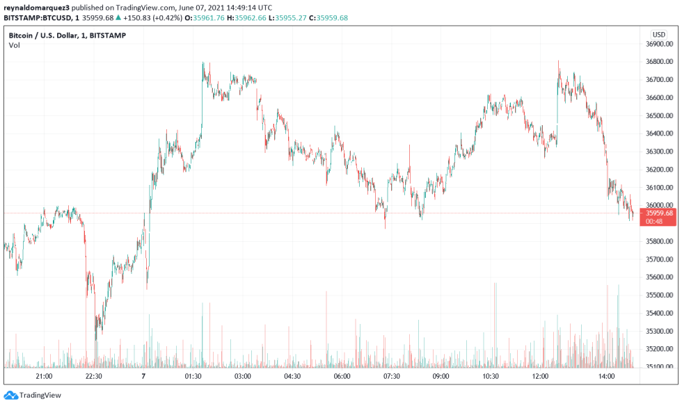 Bitcoin BTC BTCUSD