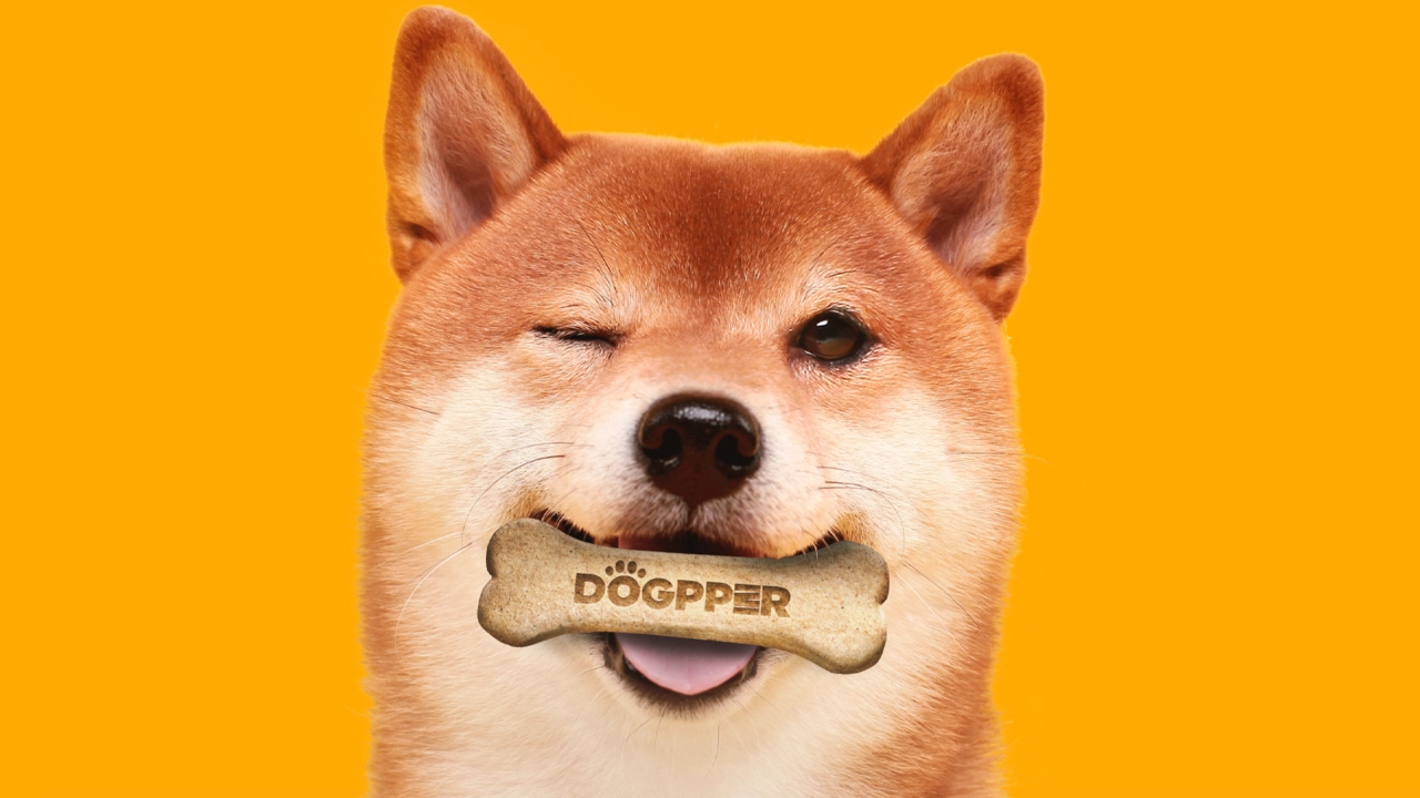 Dogecoin DOGE