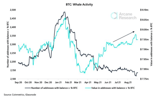 Bitcoin Whales