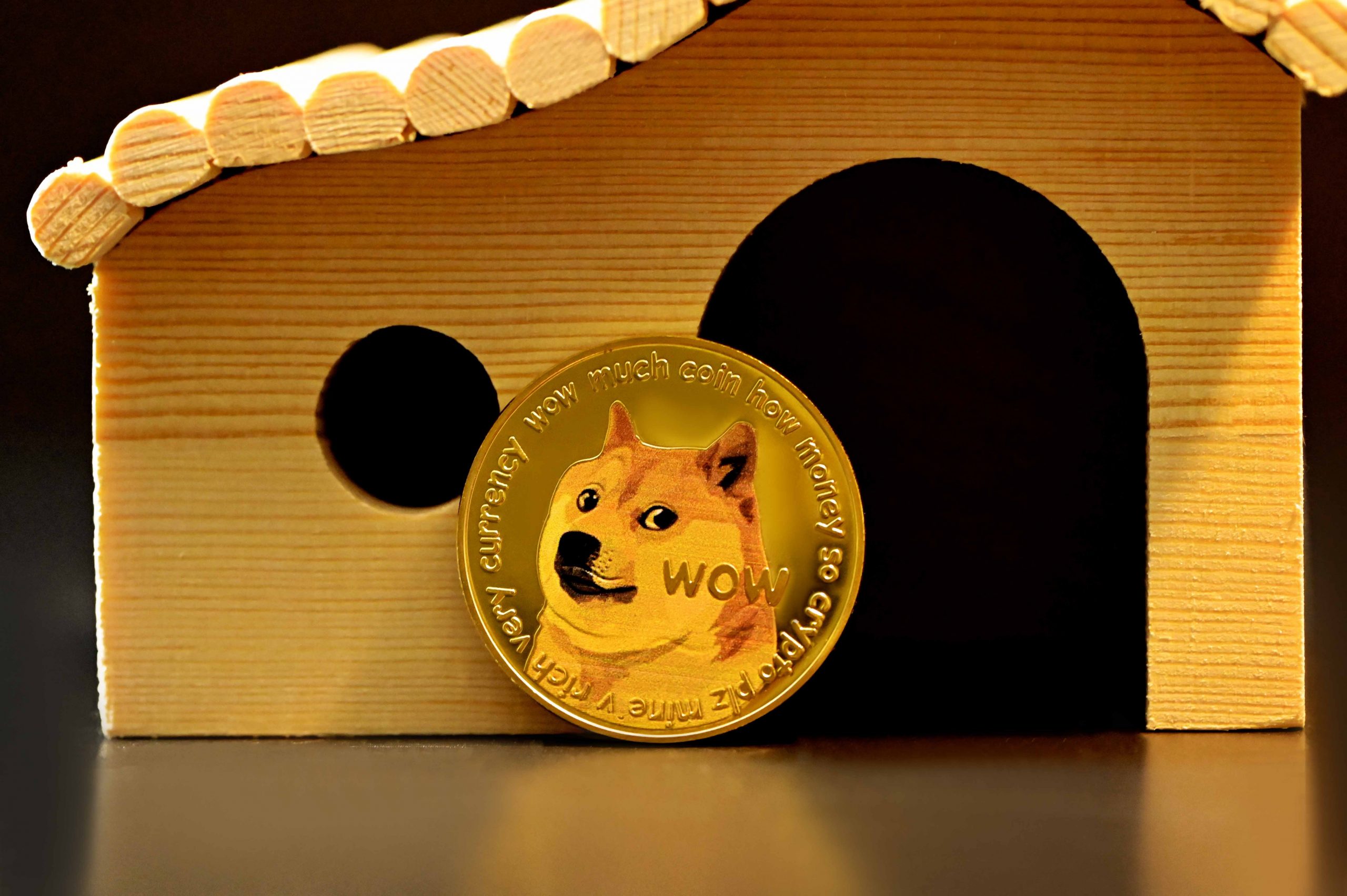 Dogecoin DOGE