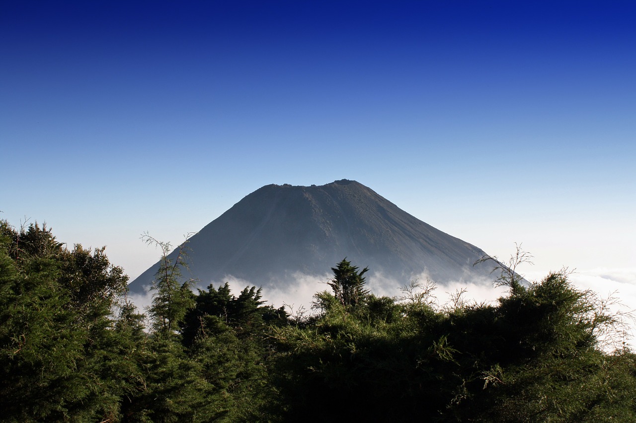 Vitalik Buterin, El Salvador, volcano