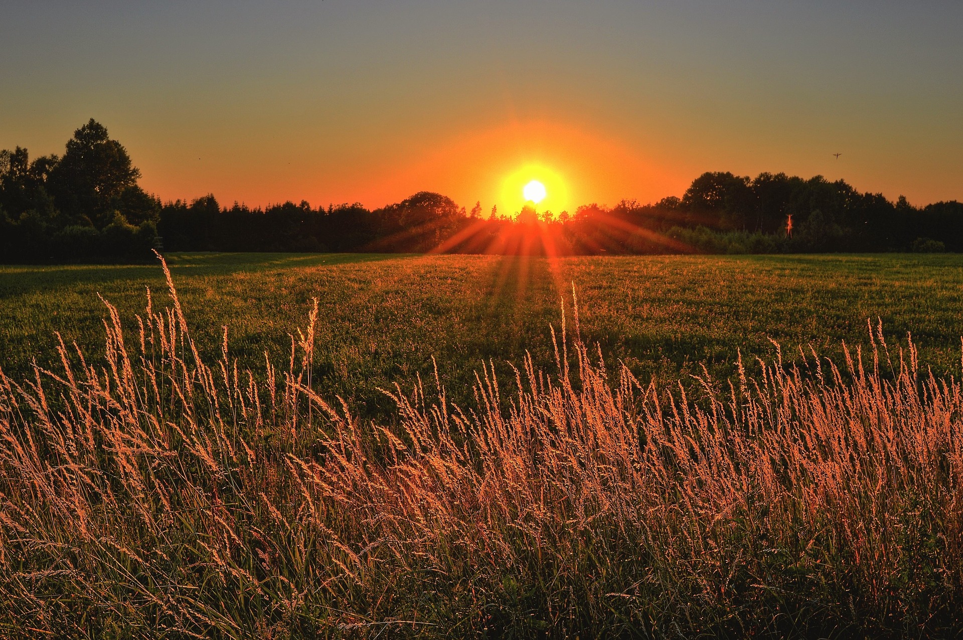 Bitcoin has been at the forefront of environmental debates recently.