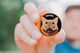 Picture of a hand holding a Shiba Inu coin