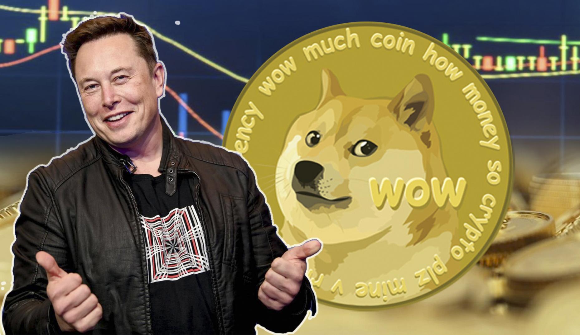 Picture of Elon Musk in front of a Dogecoin