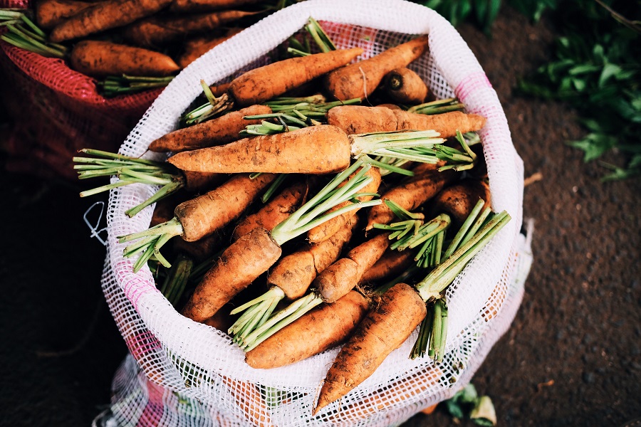 Taproot, a sack of carrots