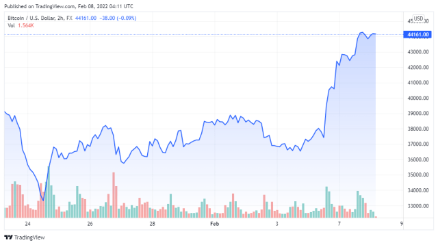 BTCUSD price chart for 02/08/2022 - TradingView