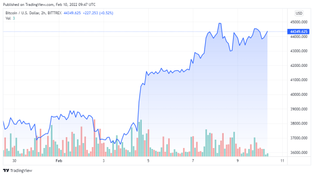 BTCUSD price chart for 02/10/2022 - TradingView