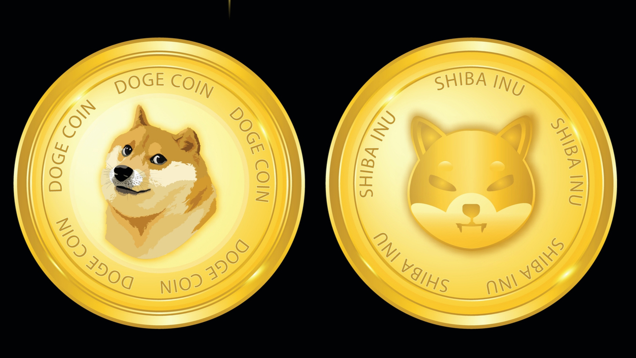 Dogecoin and Shiba Inu