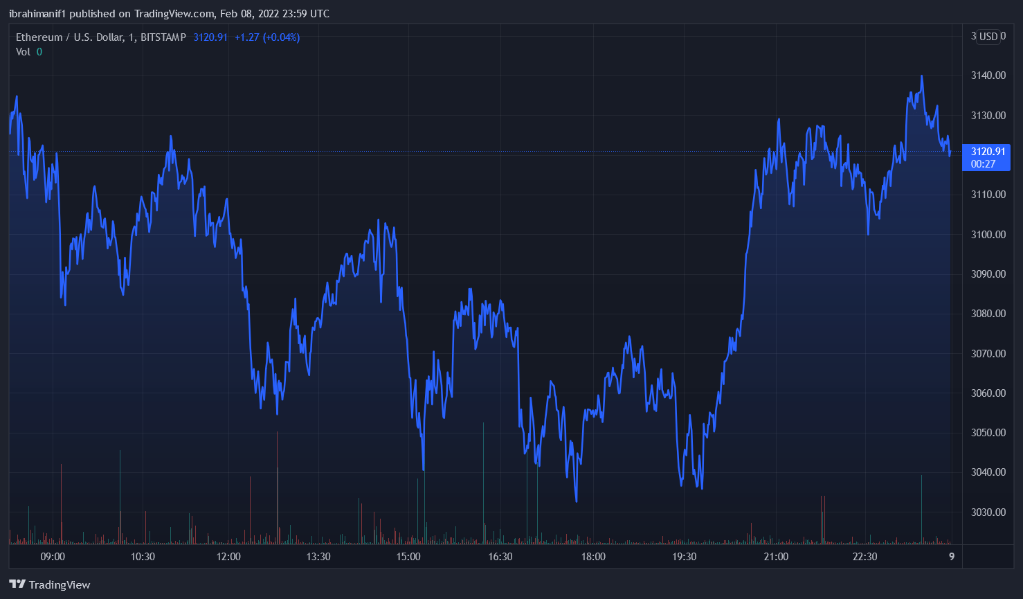 Cryptopunk v1