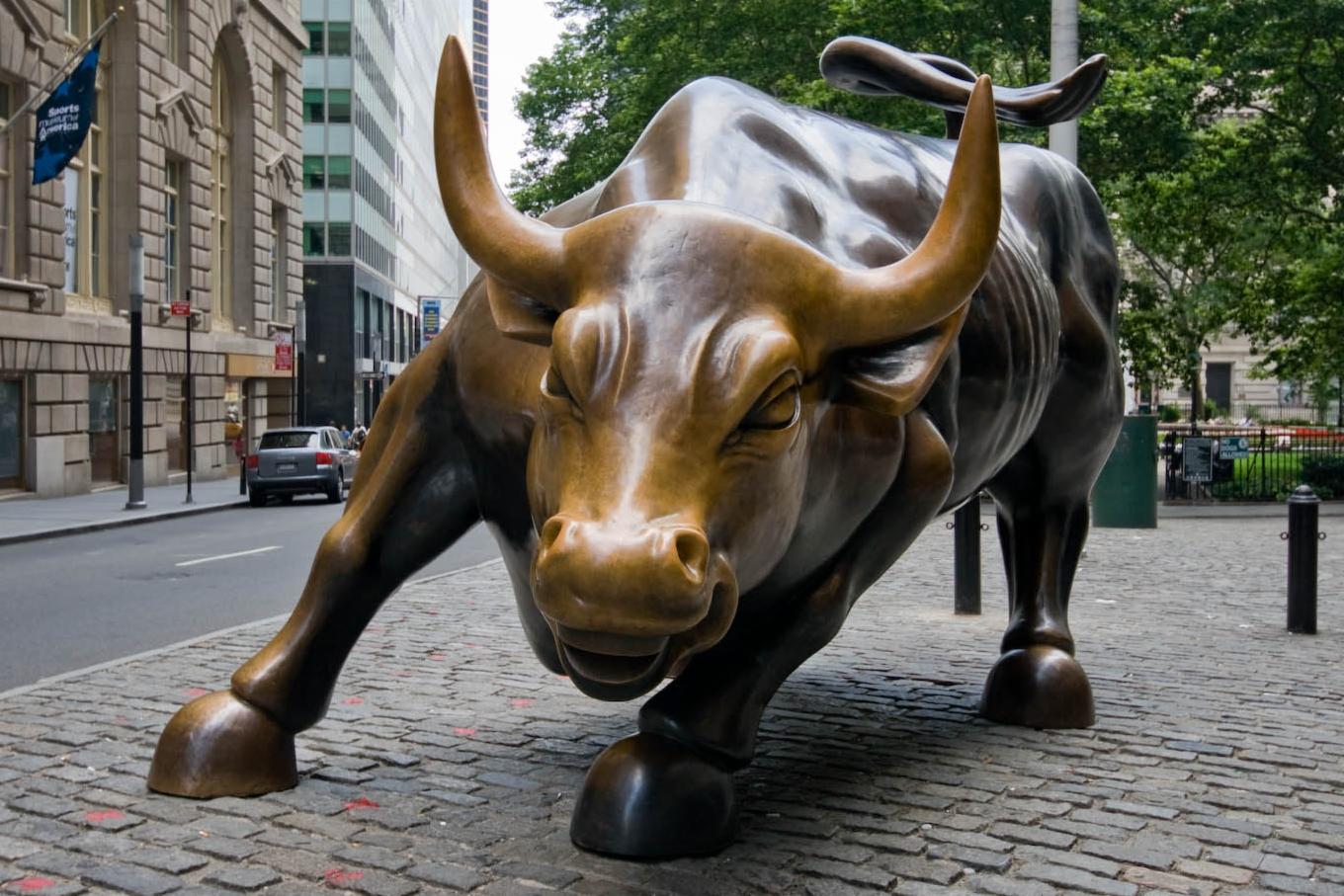 Charging bull