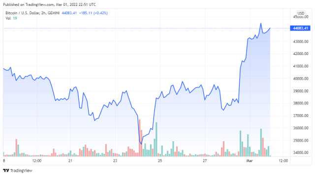 BTCUSD price chart for 03/01/2022 - TradingView