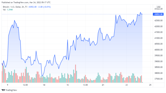 BTCUSD price chart for 03/24/2022 - TradingView