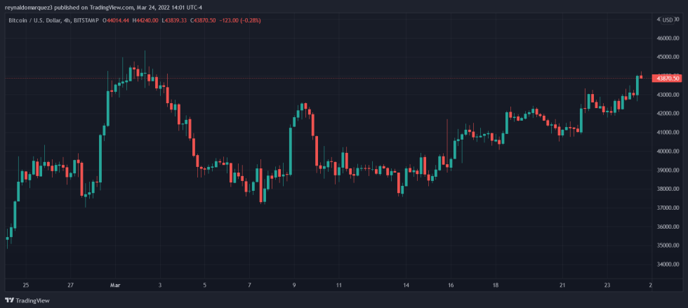 Bitcoin BTC BTCUSD