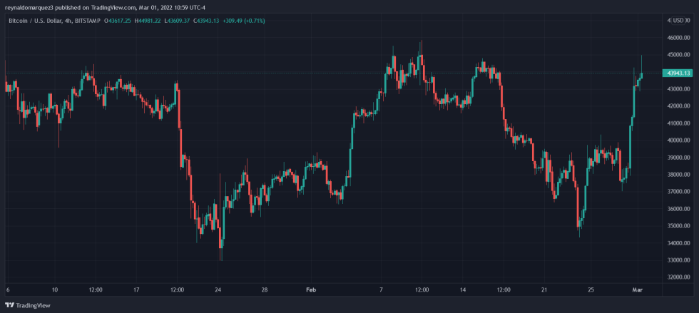 Bitcoin BTC BTCUSD