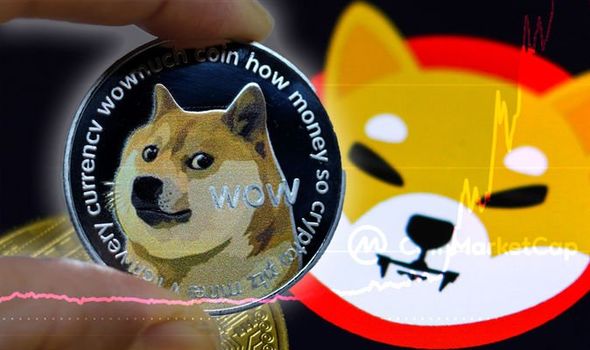 Dogecoin and Shiba Inu