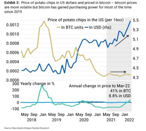 Bitcoin BTC BTCUSD potato