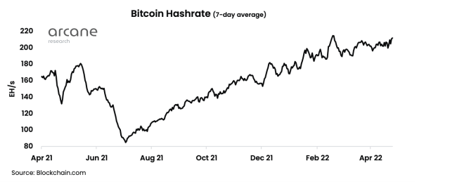 bitcoin on-chain activity turns green