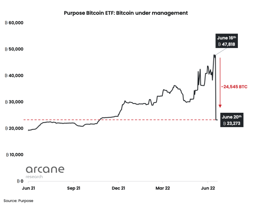 Purpose Bitcoin ETF loses 50% of AuM