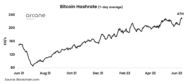 Bitcoin Hashrate